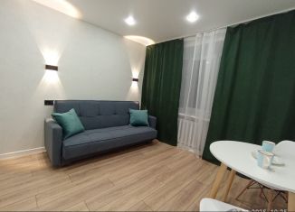 Сдается в аренду однокомнатная квартира, 18 м2, Казань, улица Дежнёва, 2к1