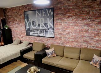 Однокомнатная квартира в аренду, 42.8 м2, Свердловская область, улица Чкалова, 124