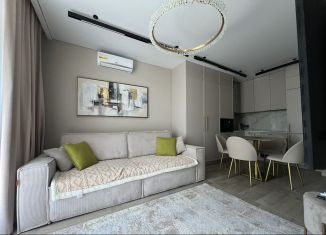 Сдача в аренду 2-комнатной квартиры, 40 м2, Сочи, переулок Трунова, 6к3, микрорайон Завокзальный