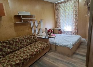 Сдаю в аренду 1-ком. квартиру, 28 м2, Ростов-на-Дону, Петровская улица, 54