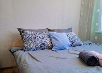 Сдается в аренду однокомнатная квартира, 31 м2, Рубцовск, улица Федоренко, 26