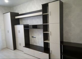 Сдам в аренду квартиру студию, 24 м2, Санкт-Петербург, улица Маршала Тухачевского, 23, улица Маршала Тухачевского