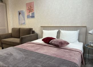 Аренда однокомнатной квартиры, 37 м2, Ростов-на-Дону, проспект 40-летия Победы, 63/17с1