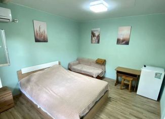 Сдам в аренду квартиру студию, 35 м2, Сочи, Сочинское шоссе, 5