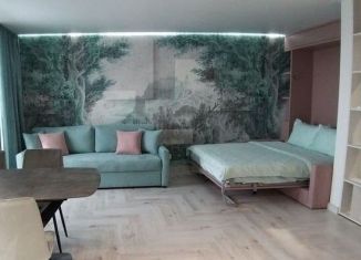 Сдается в аренду квартира студия, 28 м2, Ростов-на-Дону, улица Максима Горького, 297