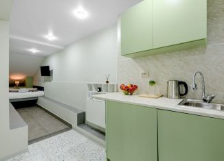 Продается квартира студия, 20 м2, Санкт-Петербург, набережная реки Фонтанки, 185