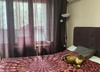 Сдача в аренду 1-ком. квартиры, 32 м2, Москва, Профсоюзная улица, 33к1