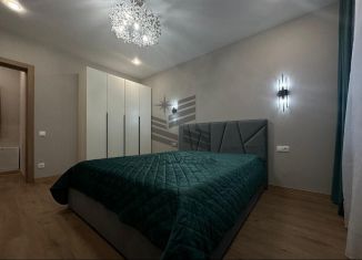 Сдам в аренду 1-ком. квартиру, 36 м2, Казань, улица Назиба Жиганова, 2А