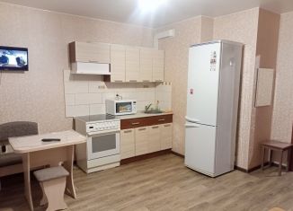 Сдам квартиру студию, 25 м2, Мурино, проспект Авиаторов Балтики, 5, ЖК Виктория