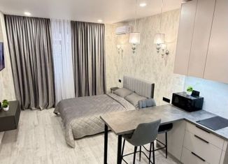 Сдаю квартиру студию, 27.2 м2, Ростов-на-Дону, улица 26-я Линия, 35/2