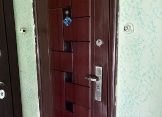 Сдается в аренду 1-ком. квартира, 32 м2, Тихвин, 5-й микрорайон, 51