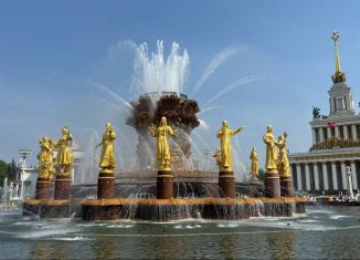 Квартира на продажу студия, 11.5 м2, Москва, улица Цандера, 7, метро ВДНХ