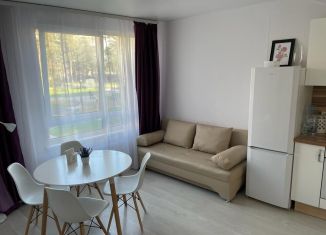 Продается 1-комнатная квартира, 48 м2, Сестрорецк, Таможенная дорога, 11к1с10
