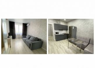 Сдам в аренду 1-ком. квартиру, 40 м2, Краснодар, Дубравная улица, 1, микрорайон Молодёжный