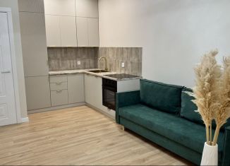 Сдача в аренду 1-ком. квартиры, 55 м2, Республика Башкортостан, Комсомольская улица, 15