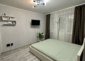 1-комнатная квартира в аренду, 37 м2, Пермь, Екатерининская улица, 196