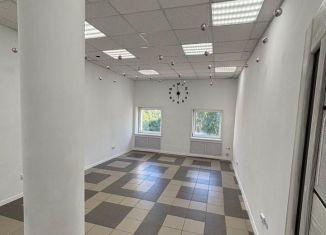 Сдам в аренду помещение свободного назначения, 27 м2, Архангельск, Троицкий проспект, 119