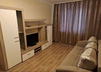 Сдается 1-комнатная квартира, 40 м2, поселок городского типа Стройкерамика, улица Академика Дмитрия Козлова, 11