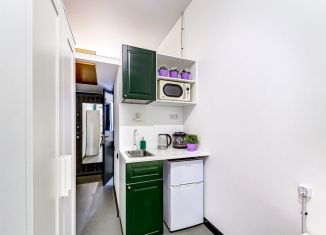 Сдается квартира студия, 20 м2, Санкт-Петербург, Дегтярная улица, 9, муниципальный округ Смольнинское