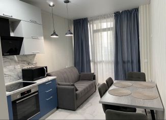 Сдаю в аренду 1-комнатную квартиру, 50 м2, Воронеж, улица Хользунова