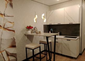 Сдается квартира студия, 26.2 м2, Республика Башкортостан, улица Менделеева, 137