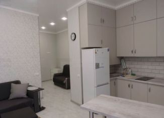 Продается квартира студия, 12.5 м2, Москва, 8-я Парковая улица, 11А