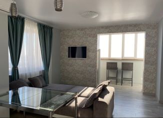 Сдаю в аренду 1-ком. квартиру, 55 м2, Самара, улица Мечникова, 3