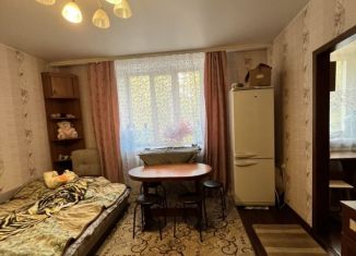 Продажа однокомнатной квартиры, 30 м2, Гусь-Хрустальный, Прудинская улица, 19