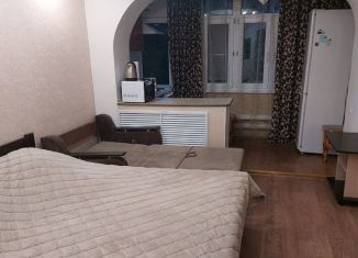 Аренда квартиры студии, 25 м2, Железноводск, улица Ленина, 8