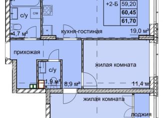 Продаю двухкомнатную квартиру, 60.5 м2, Нижний Новгород, улица Дружаева, 30, микрорайон Северный