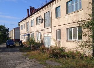 1-комнатная квартира на продажу, 46 м2, поселок городского типа Каменка, переулок Механизаторов, 4