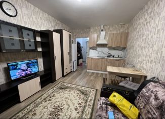 Квартира в аренду студия, 25 м2, Санкт-Петербург, бульвар Александра Грина, 2к1, ЖК Капитан Немо