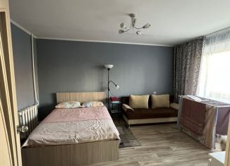 1-комнатная квартира в аренду, 40 м2, Екатеринбург, улица Ильича, 33, метро Уралмаш
