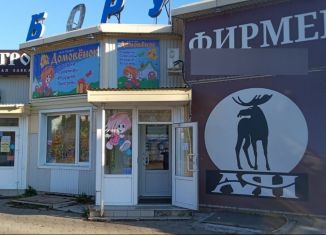 Аренда торговой площади, 60 м2, Красноярский край, Пионерская улица, 7А