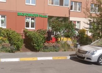 Продается торговая площадь, 97 м2, деревня Островцы, Баулинская улица, 11