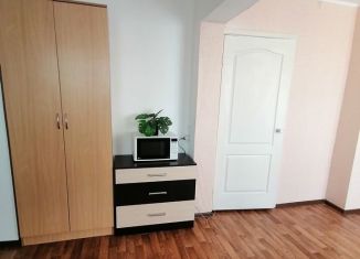 Сдаю квартиру студию, 30 м2, Анапа, улица Ленина