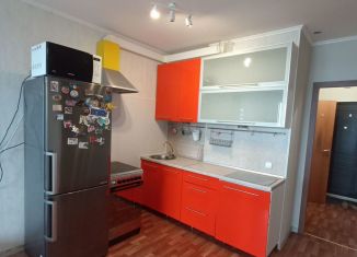 Сдаю квартиру студию, 25.6 м2, посёлок Шушары, Первомайская улица, 5к1