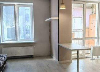 Продажа квартиры студии, 29.7 м2, Республика Башкортостан, улица Даяна Мурзина, 13