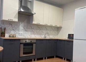 Сдам в аренду 2-комнатную квартиру, 47 м2, Республика Башкортостан, улица Гали Ибрагимова, 5