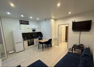 Сдается в аренду квартира студия, 25.4 м2, Тюмень, Верхнетарманская улица, 5, ЖК Новый Мыс 2.0