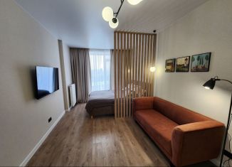 Сдача в аренду 1-комнатной квартиры, 44 м2, Новосибирск, Красный проспект, 167/4, метро Заельцовская