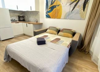 Сдается квартира студия, 35 м2, Ломоносов, Михайловская улица, 51