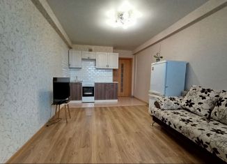 Продаю квартиру студию, 23.2 м2, Ижевск, улица Михаила Петрова, 33Б