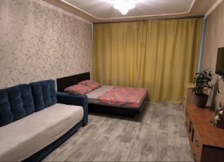 Сдается в аренду 1-комнатная квартира, 45 м2, Омск, улица Ярослава Гашека, 1