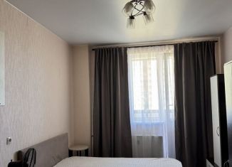 Сдается в аренду квартира студия, 26.1 м2, Мурино, Охтинская аллея, 16