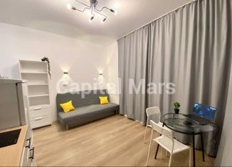 Аренда однокомнатной квартиры, 18 м2, Москва, улица Анны Северьяновой, 1/14, ЦАО