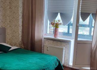 Сдача в аренду квартиры студии, 25 м2, Мурино, проспект Авиаторов Балтики, 7, ЖК Виктория