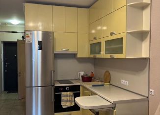 Сдам квартиру студию, 21 м2, Новосибирск, Первомайская улица, 230