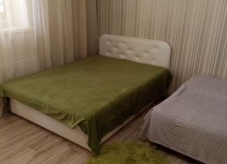 Сдаю в аренду квартиру студию, 26 м2, Тюмень, Верхнетарманская улица, 5, ЖК Новый Мыс 2.0