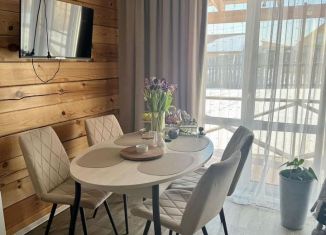 Продам дом, 103.4 м2, деревня Карлук, Дачная улица, 100